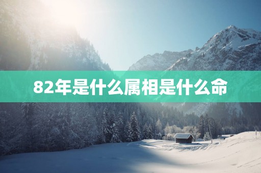 82年是什么属相是什么命