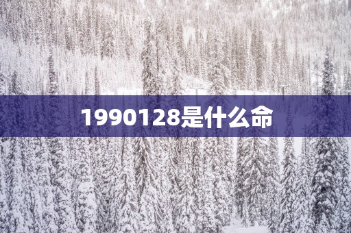 1990128是什么命