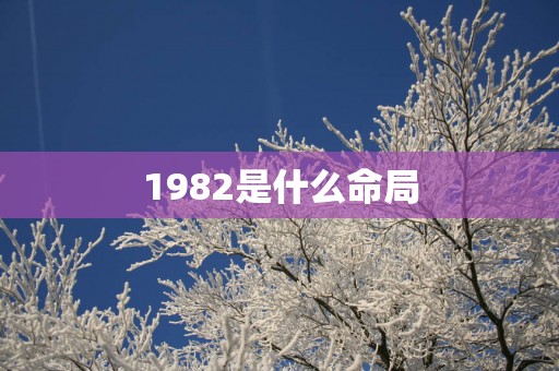 1982是什么命局
