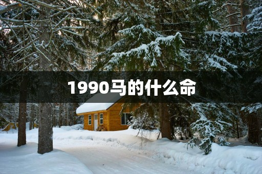 1990马的什么命