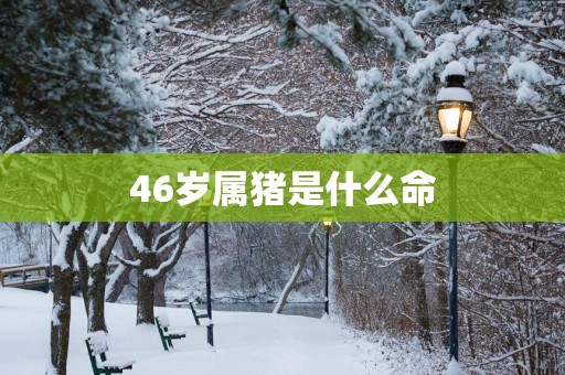 46岁属猪是什么命