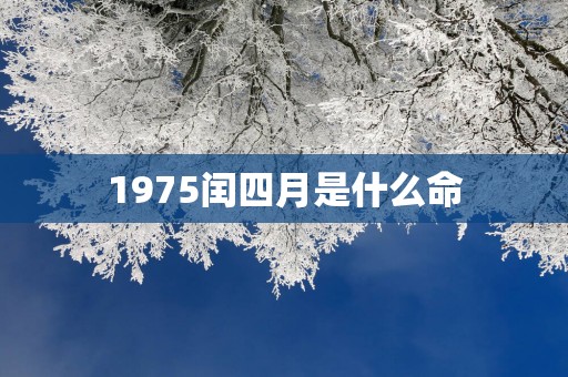 1975闰四月是什么命