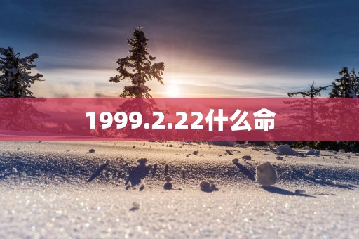 1999.2.22什么命