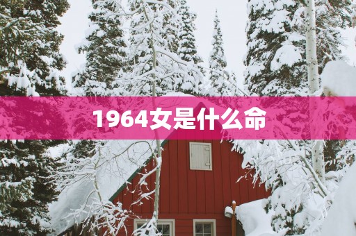 1964女是什么命