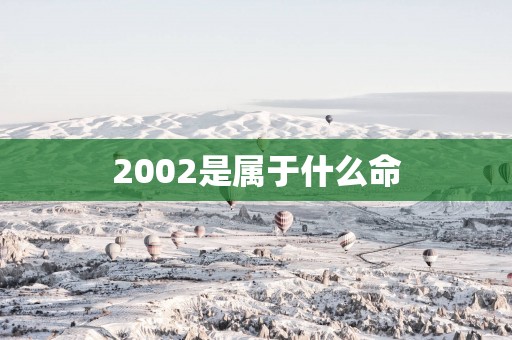 2002是属于什么命
