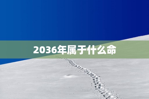 2036年属于什么命