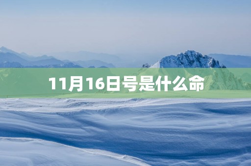 11月16日号是什么命