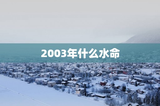 2003年什么水命
