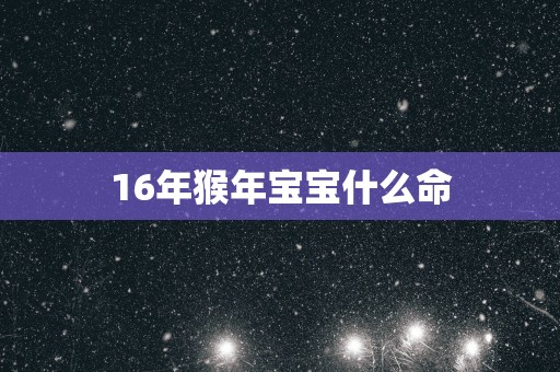 16年猴年宝宝什么命