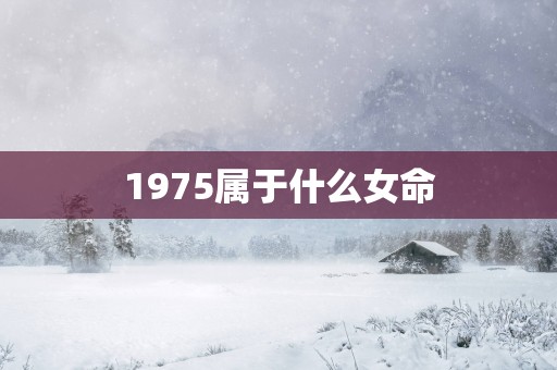 1975属于什么女命