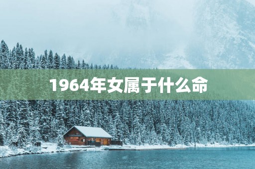 1964年女属于什么命