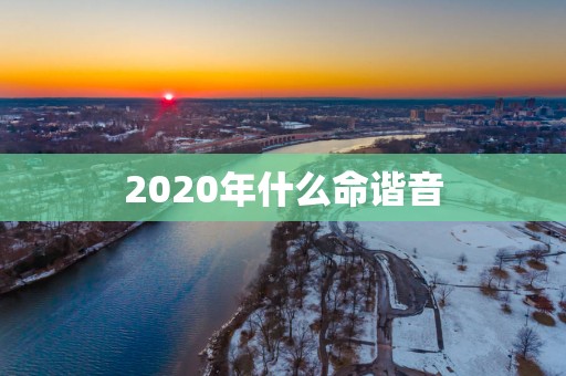 2025年什么命谐音