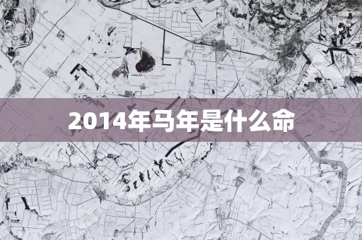 2014年马年是什么命