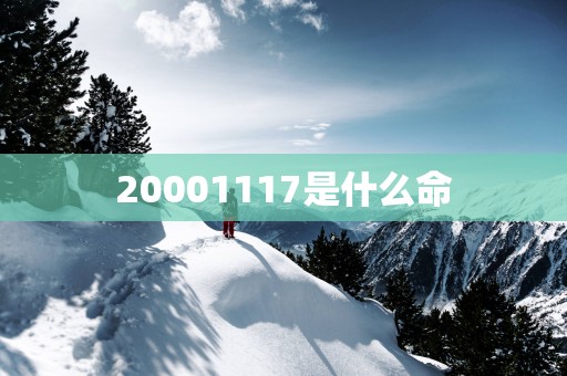 20001117是什么命