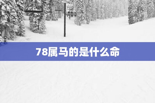 78属马的是什么命