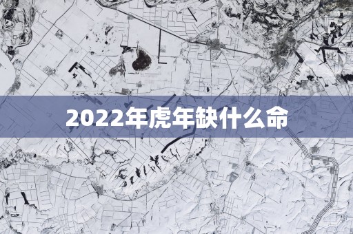 2022年虎年缺什么命