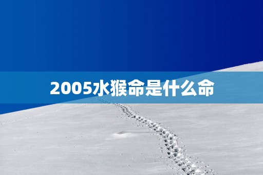 2005水猴命是什么命