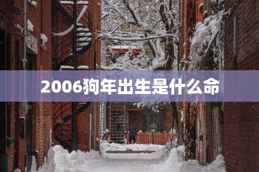 2006狗年出生是什么命