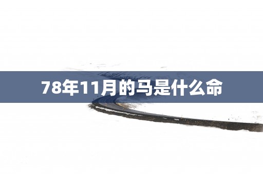 78年11月的马是什么命