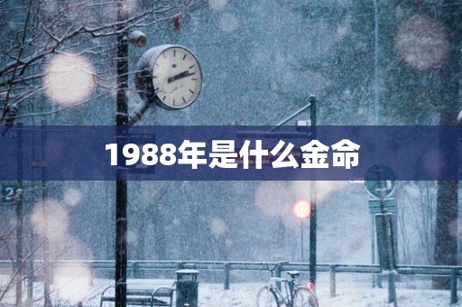 1988年是什么金命