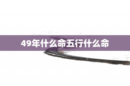 49年什么命五行什么命