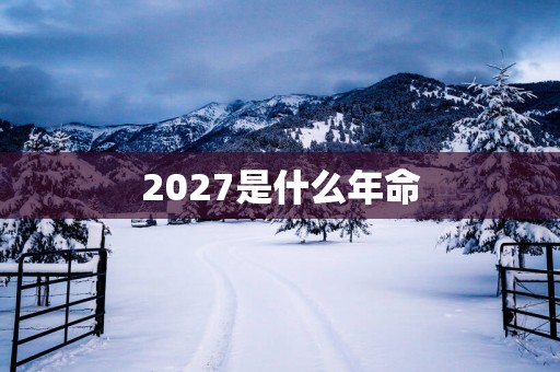 2027是什么年命