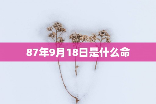 87年9月18日是什么命