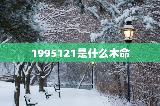 1995121是什么木命
