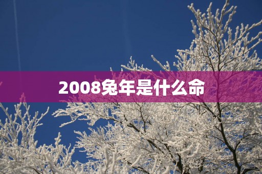 2008蛇年是什么命
