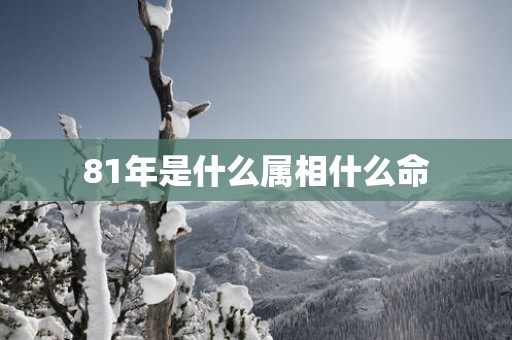 81年是什么属相什么命