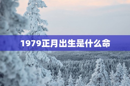 1979正月出生是什么命