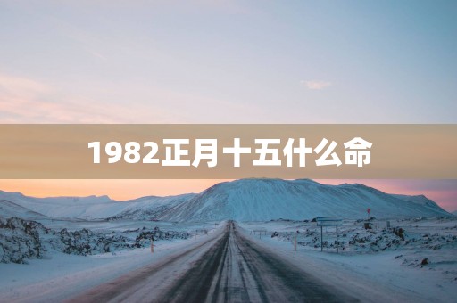 1982正月十五什么命