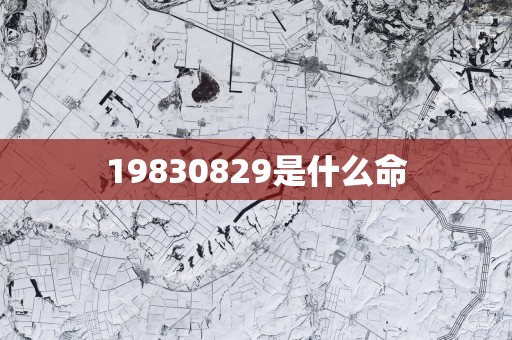 19830829是什么命