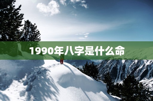 1990年八字是什么命