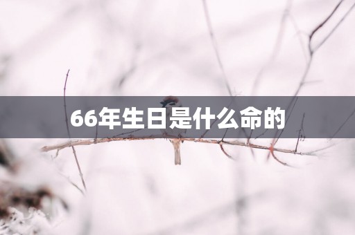 66年生日是什么命的