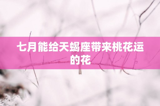 七月能给天蝎座带来桃花运的花