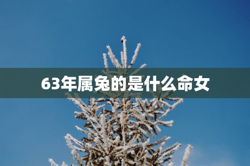 63年属兔的是什么命女