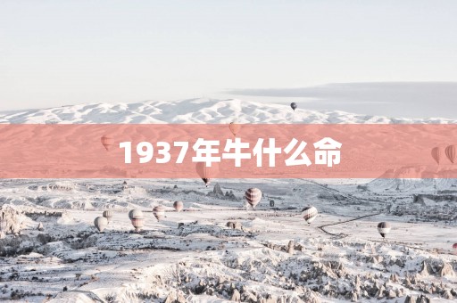 1937年牛什么命