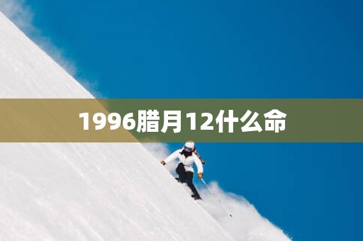 1996腊月12什么命