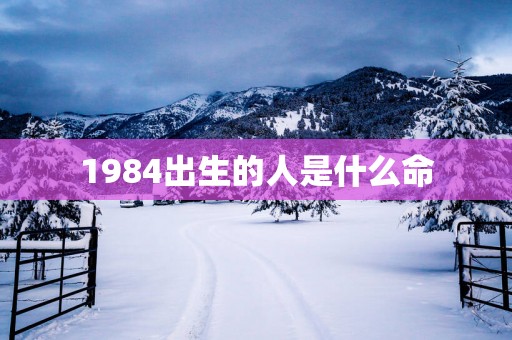 1984出生的人是什么命