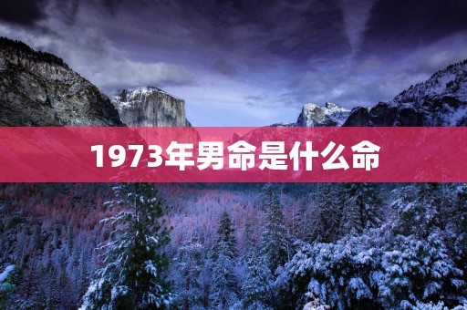 1973年男命是什么命