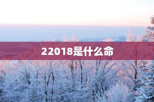 22018是什么命