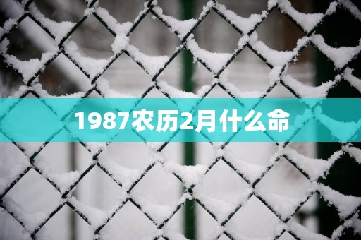 1987农历2月什么命