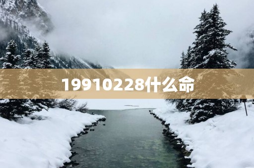 19910228什么命