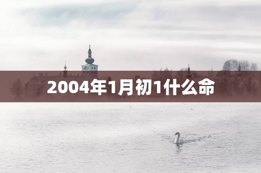2004年1月初1什么命