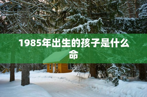 1985年出生的孩子是什么命