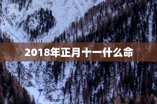 2018年正月十一什么命