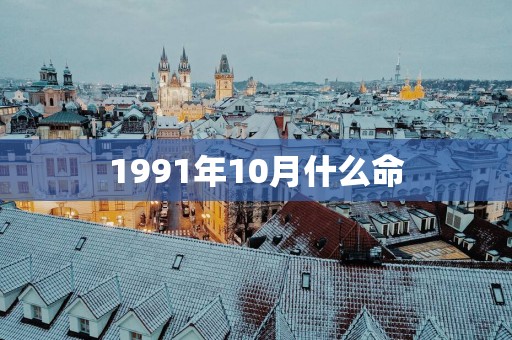 1991年10月什么命