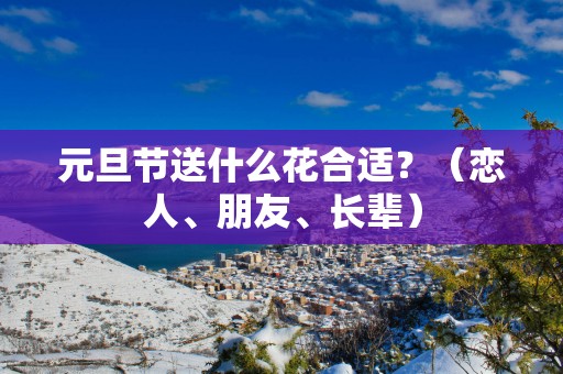 元旦节送什么花合适？（恋人、朋友、长辈）