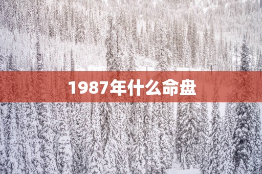 1987年什么命盘